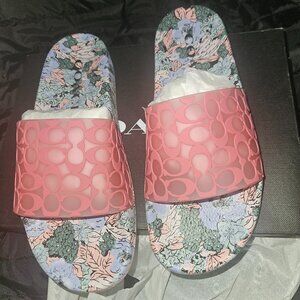 Coach Udele Slides